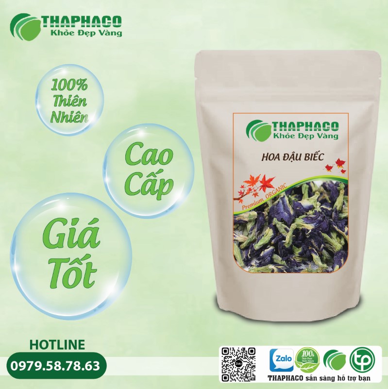 Chỗ bán hoa đậu biếc giá rẻ tại TP.HCM