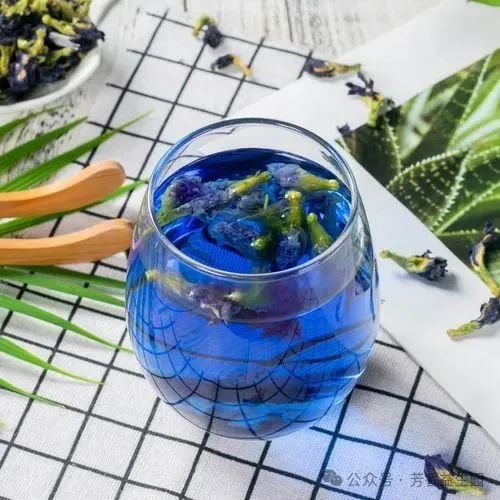 Tại sao người thừa cân nên uống trà hoa đậu biếc