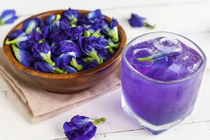 Trà hoa đậu biếc giúp giảm cân an toàn