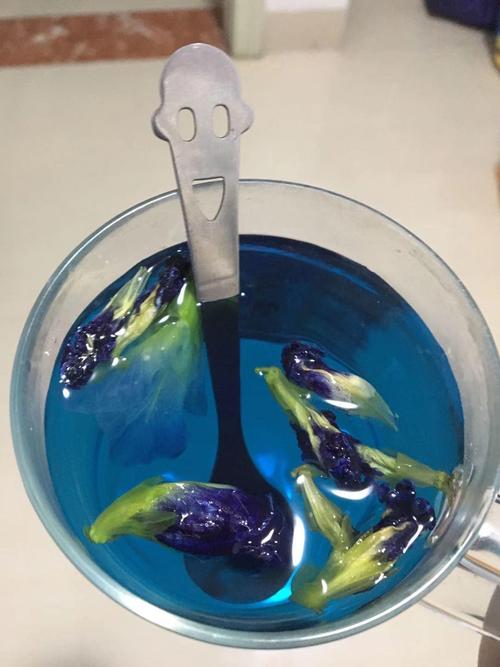 Trà hoa đậu biếc có tác dụng hỗ trợ giảm cân an toàn 