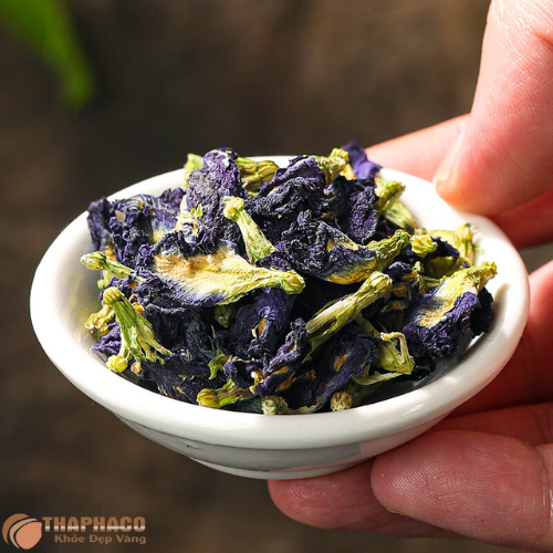 Mua hoa đậu biếc nguyên chất giá rẻ uy tín ở đâu? 