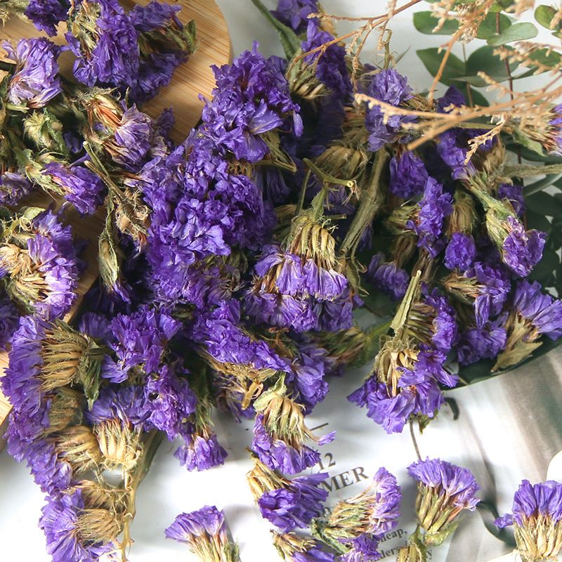 Hoa lưu ly có tác dụng hỗ trợ cải thiện mất ngủ