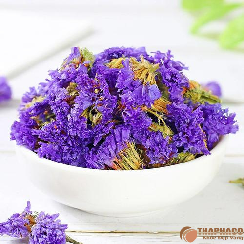 Mua hoa lưu ly sấy khô giá tốt tại TP.HCM