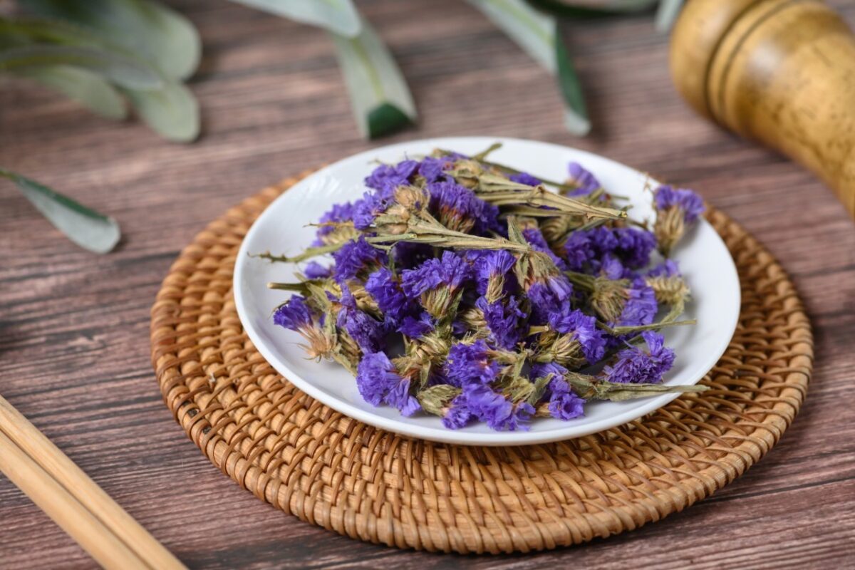 Trà hoa lưu ly có tác dụng gì