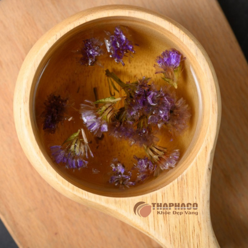 Địa chỉ mua hoa lưu ly uy tín chất lượng tại TP.HCM