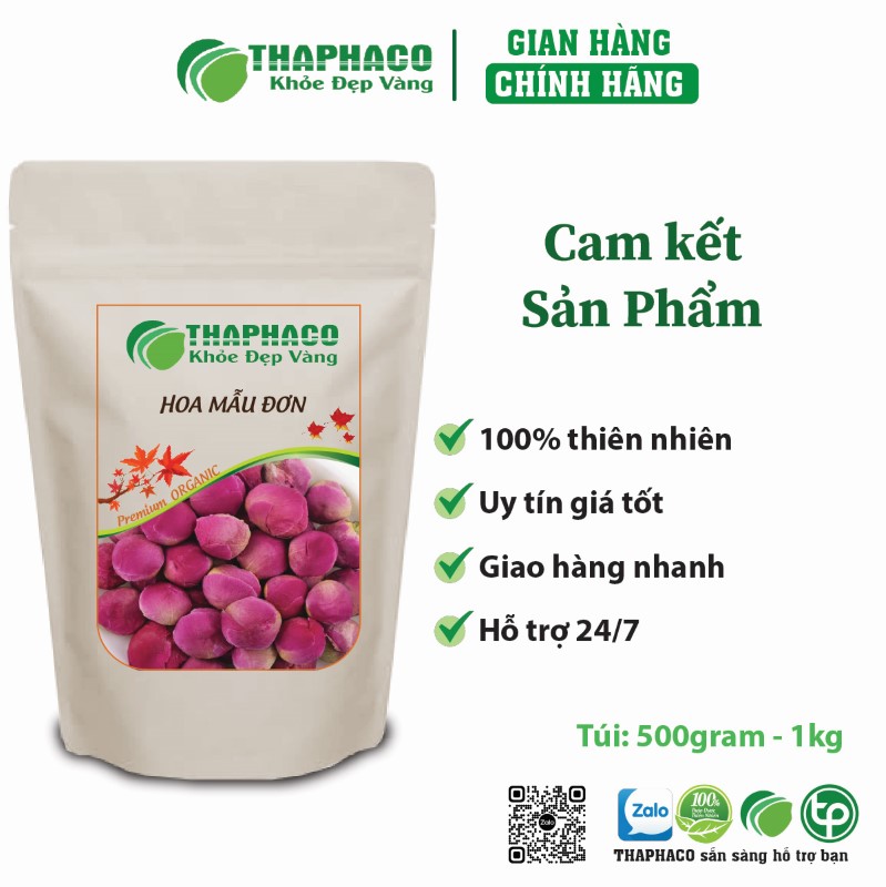 Chỗ bán hoa mẫu đơn giá rẻ tại TP.HCM