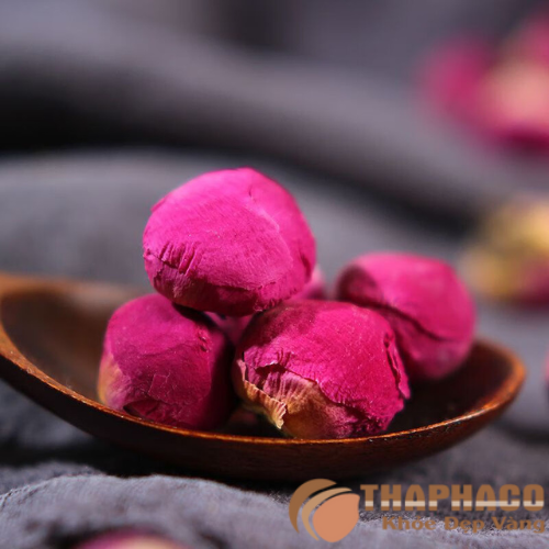 Hoa mẫu đơn giá rẻ chất lượng tại TP.HCM