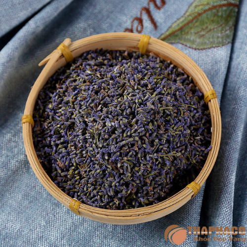 Địa chỉ mua hoa oải hương uy tín, giá tốt 