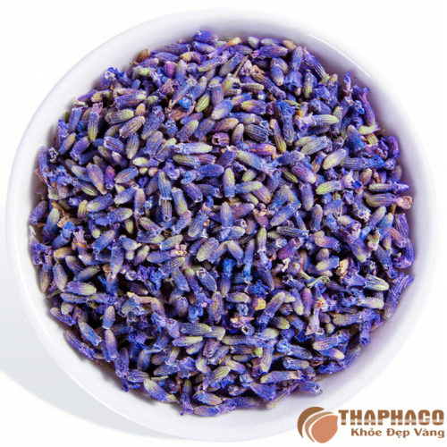 Hoa oải hương mua ở đâu giá tốt, uy tín?