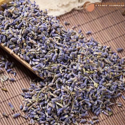 Hoa oải hương sấy khô chất lượng 