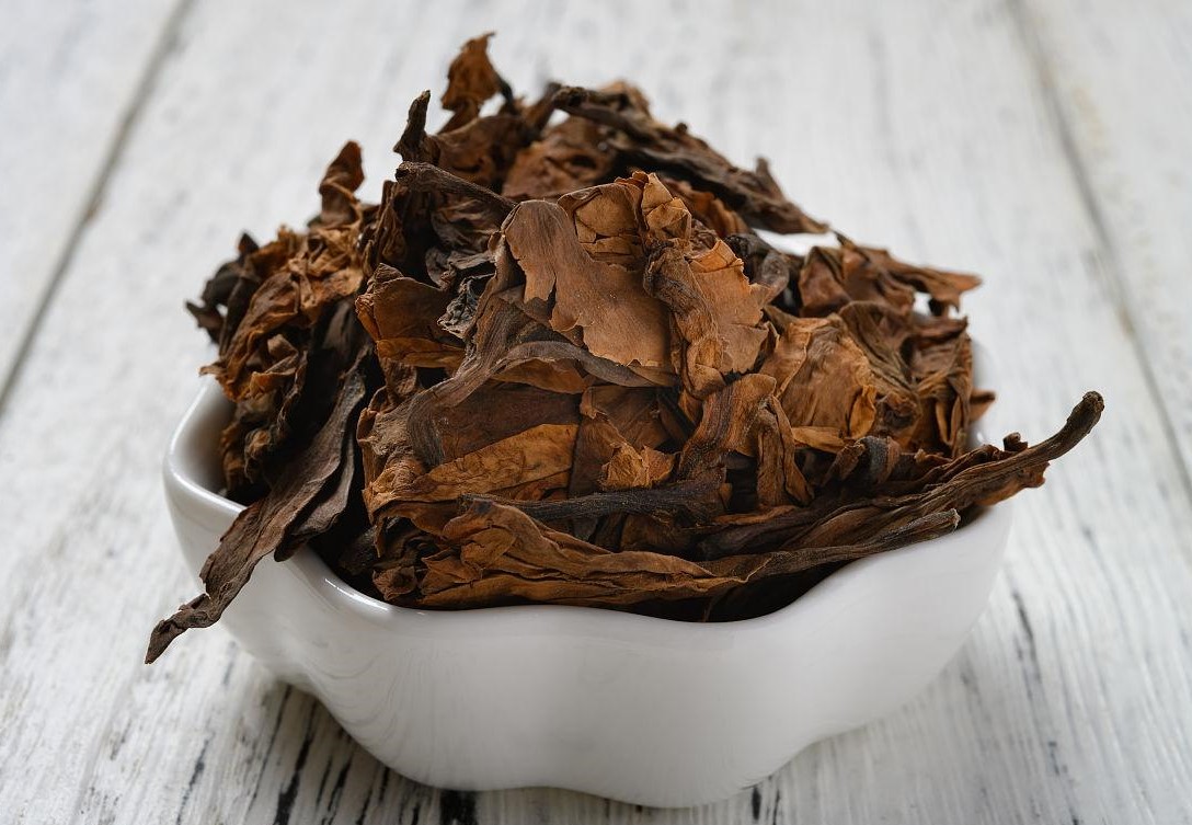 Cách uống trà hoa sứ để giảm ho hiệu quả 