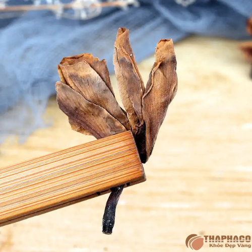 Uống trà hoa sứ như thế nào để giảm ho khan 