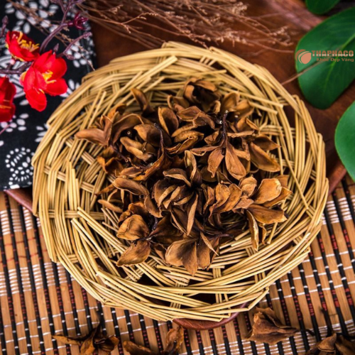 Chỗ bán hoa sứ nguyên chất, uy tín, giá tốt tại TP.HCM