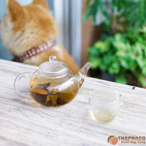 Mẹo giảm ho khan với trà hoa sứ trắng 