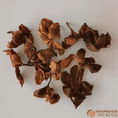 Tại sao trà hoa sứ giúp giảm ho khan 