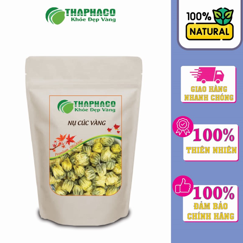 Mua nụ cúc vàng giá tốt ở đâu 