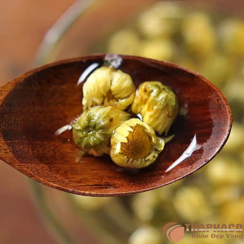 Địa chỉ bán nụ cúc vàng uy tín tại TP.HCM