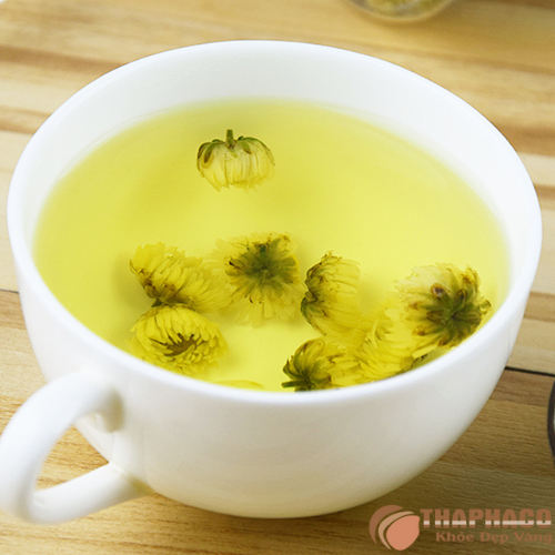 Cách nhận biết nụ cúc vàng chất lượng 