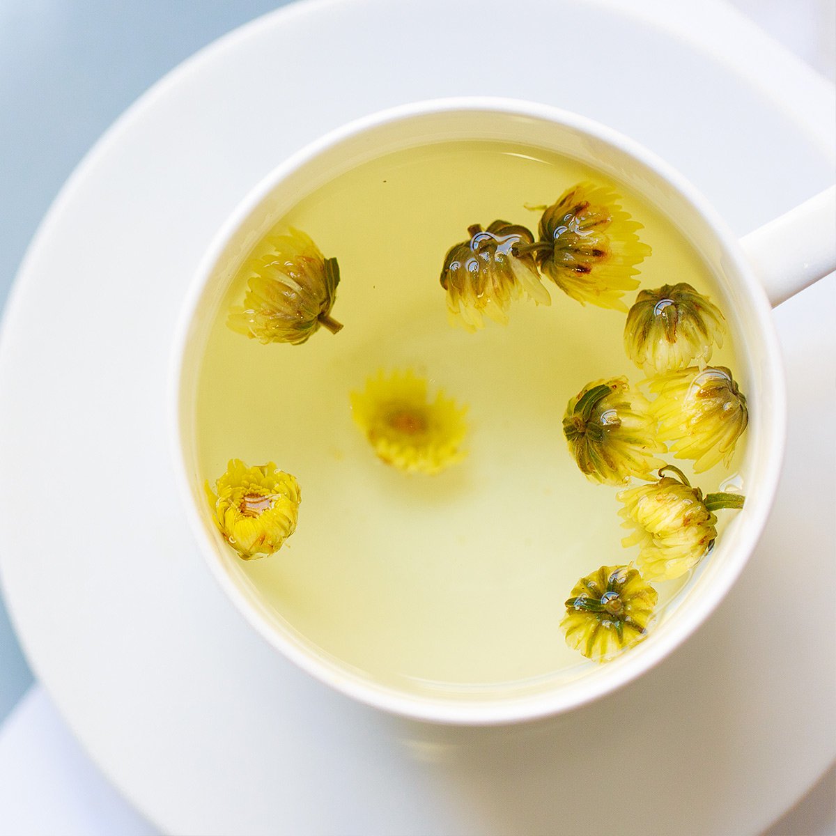 Sức mạnh bất ngờ của tách trà nụ cúc vàng