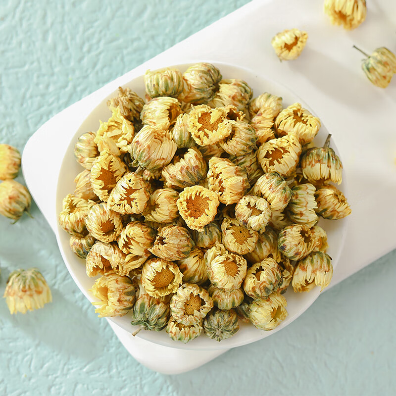 Hoa cúc vàng được tìm thấy lần đầu tiên ở đâu