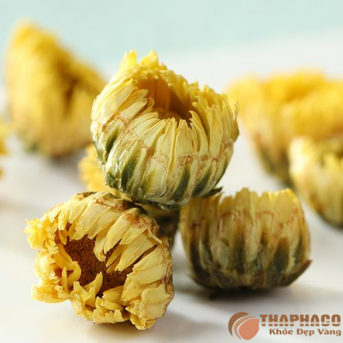 Nụ cúc vàng nguyên liệu pha trà chất lượng 