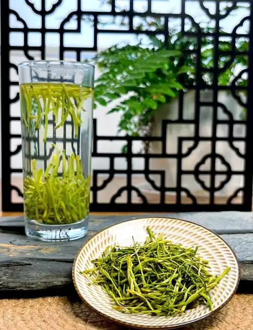 Những ai nên tránh dùng trà nụ kim ngân hoa 