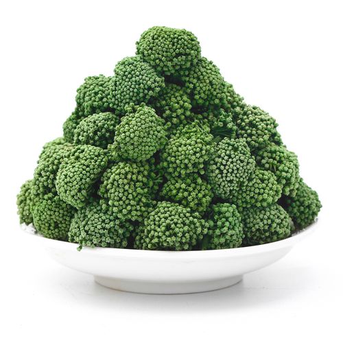 Nguồn gốc của cây tam thất