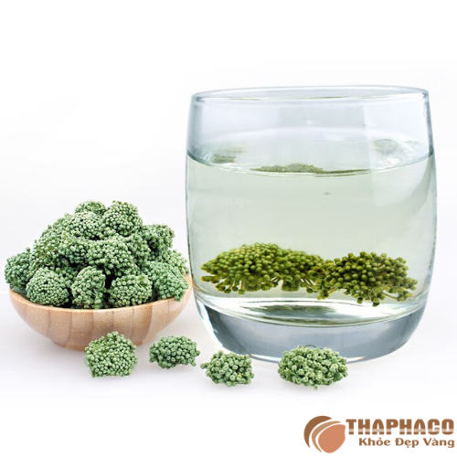 Cách sử dụng nụ tam thất hạ huyết áp 