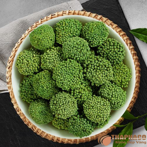 Mua nụ tam thất sấy lạnh giá tốt ở đâu