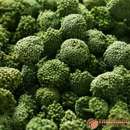 Nụ tam thất sấy lạnh giá tốt 