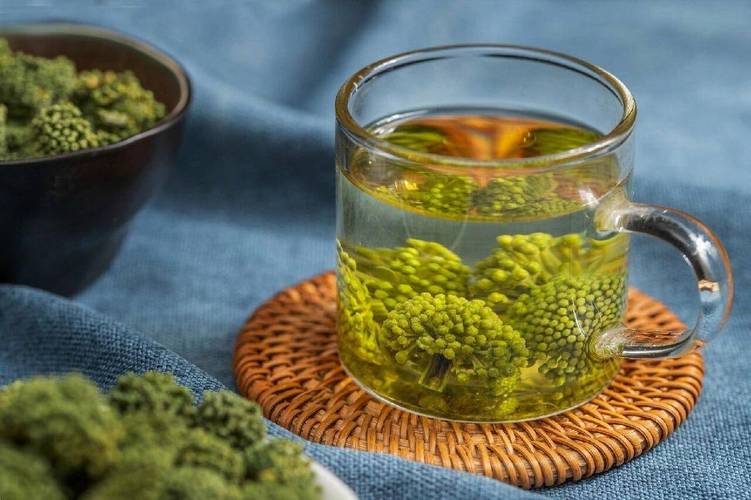 Cây tam thất trồng ở vùng nào là tốt nhất