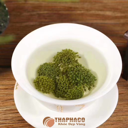 Hạ huyết áp an toàn chỉ với tách trà nụ tam thất 