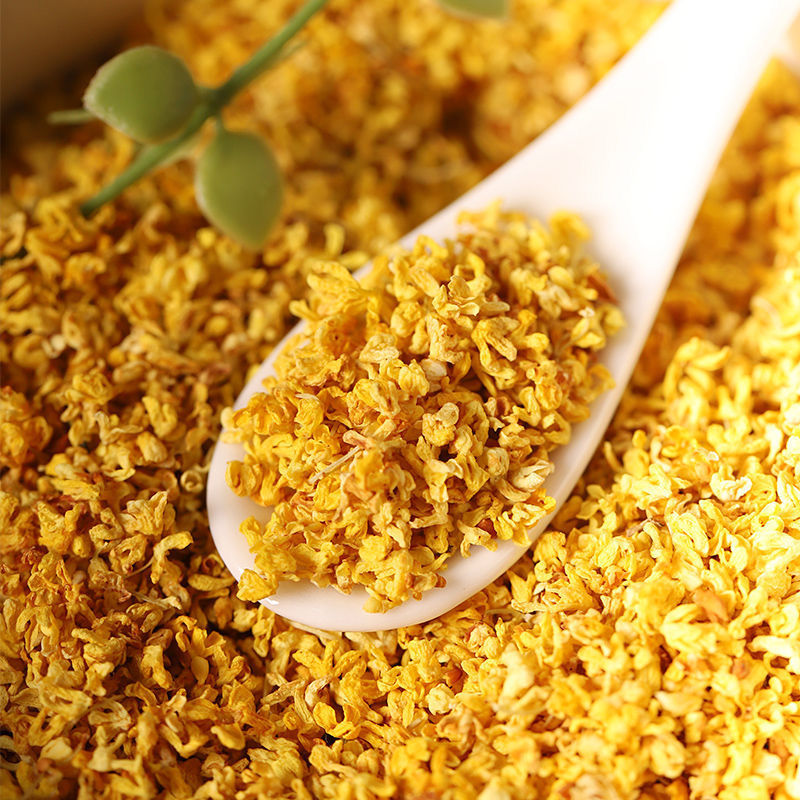 Cây quế hoa trồng được ở miền Nam không? 