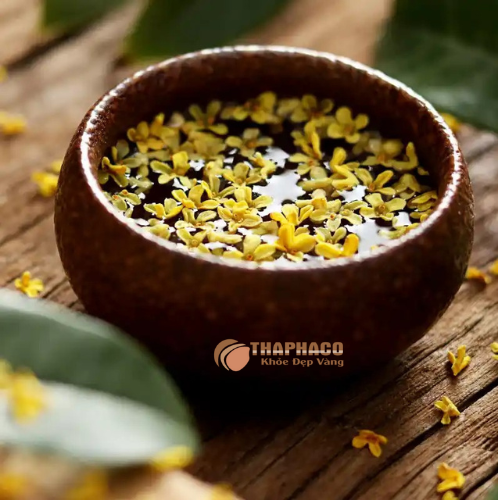 Quế hoa có tác dụng hỗ trợ giảm cân 