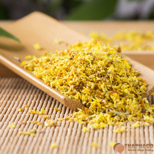 Chỗ bán quế hoa nguyên chất giá tốt tại TP.HCM