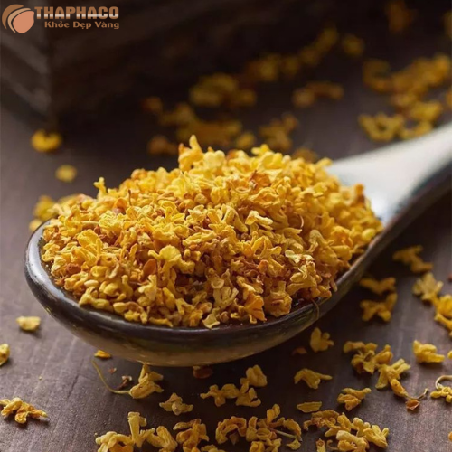 Mua quế hoa nguyên chất giá tốt ở đâu?