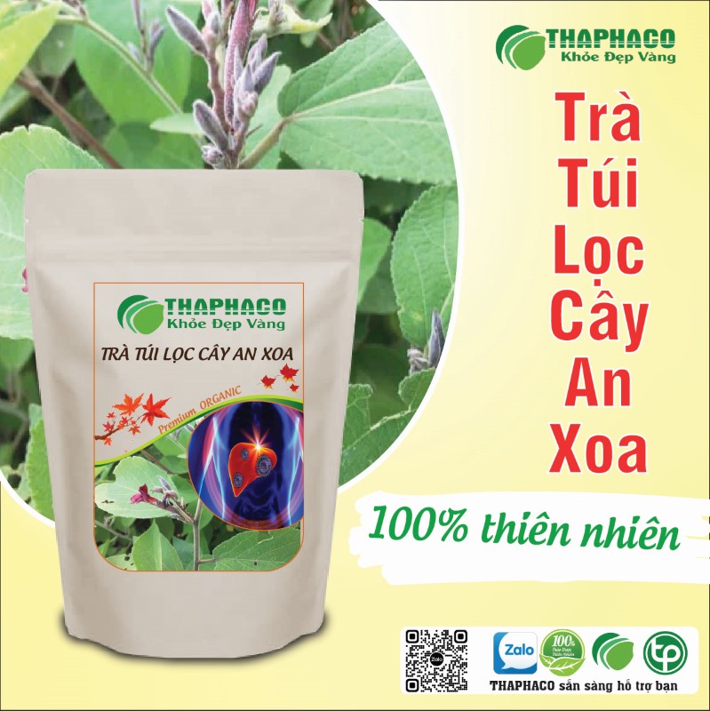 Trà túi lọc cây an xoa khô có tác dụng gì? 