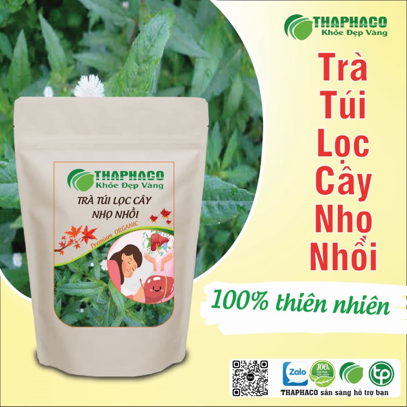 Trà túi lọc cây nhọ nhồi có tác dụng gì? 