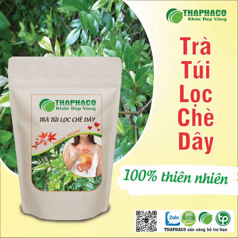 Trà túi lọc chè dây có tác dụng gì?