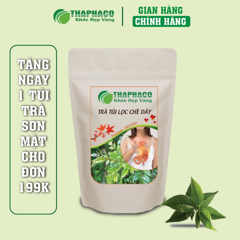 Nơi bán trà túi lọc chè dây ngon giá rẻ tại TP.HCM