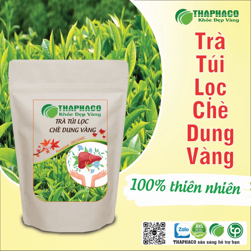 Trà túi lọc chè dung vàng có tác dụng gì? 