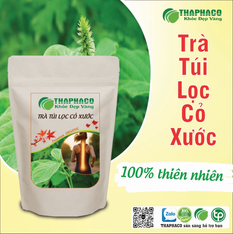 Trà túi lọc cỏ xước khô có tác dụng gì?