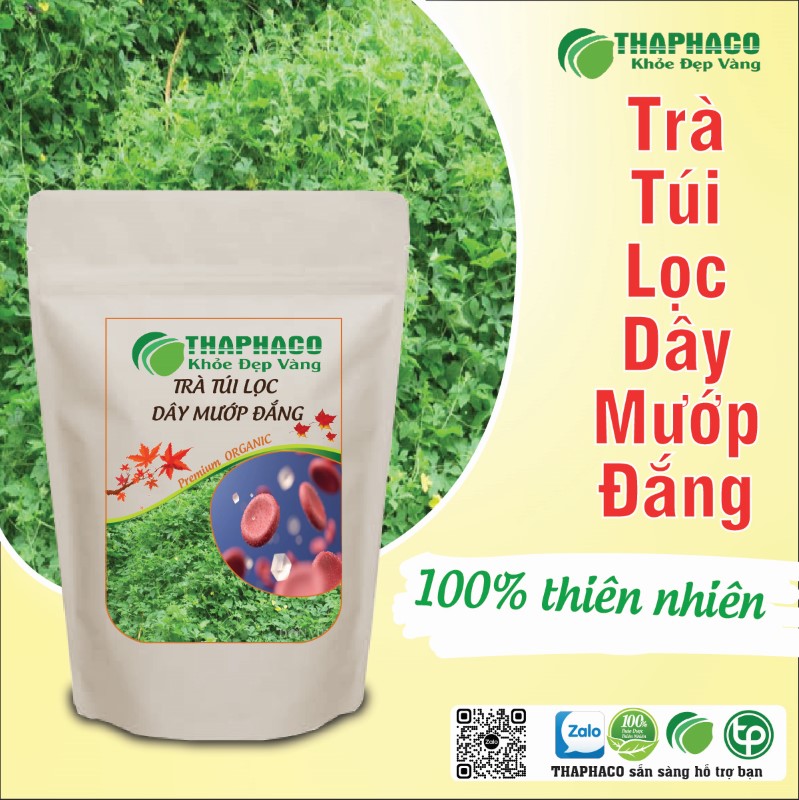 Trà túi lọc dây mướp đắng (khổ qua) khô có tác dụng gì? 