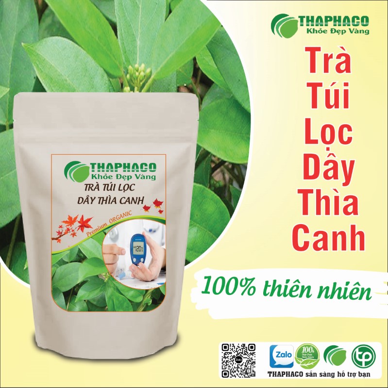 Trà túi lọc dây thìa canh khô có tác dụng gì? 