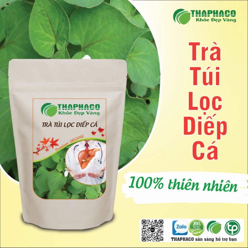 Trà túi lọc diếp cá có tác dụng gì? 