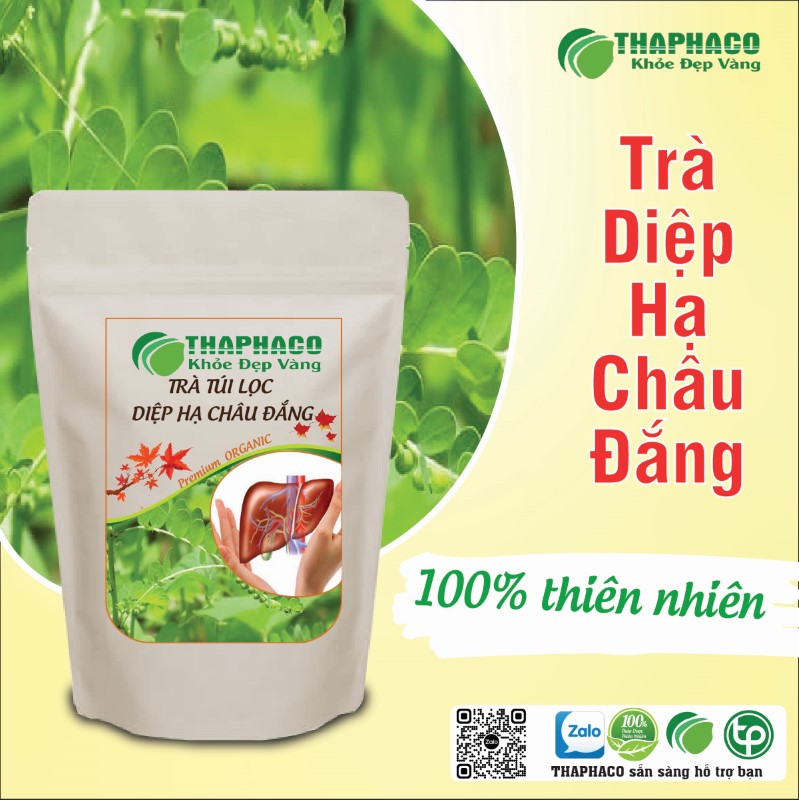 Trà túi lọc diệp hạ châu đắng có tác dụng gì?