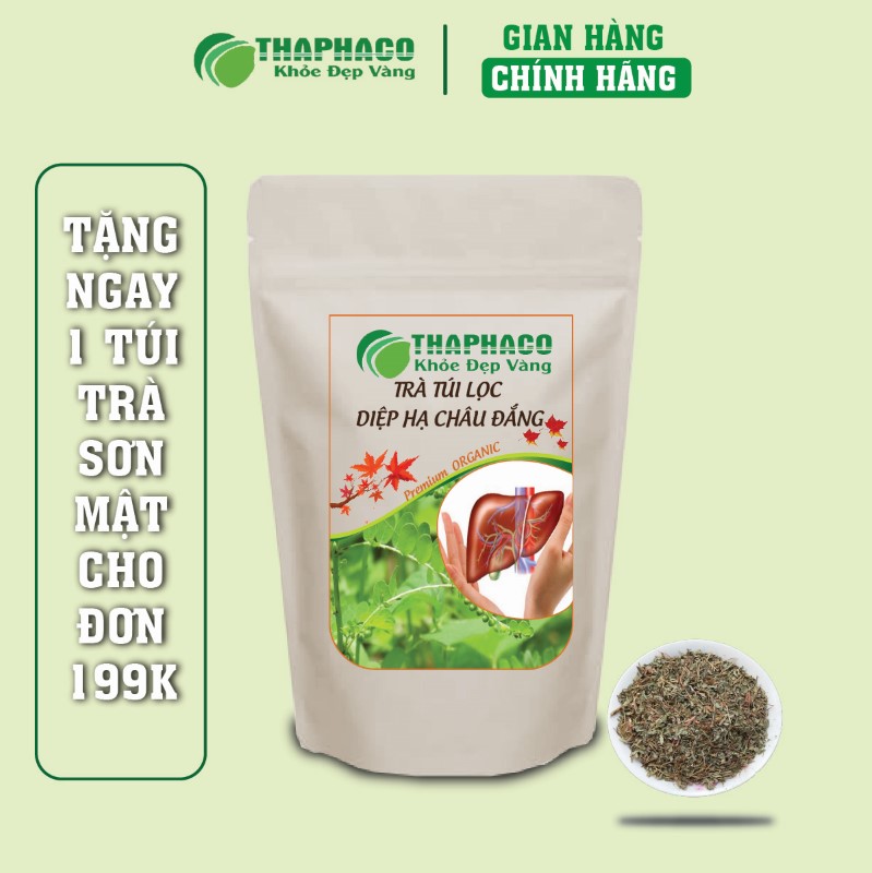 Địa chỉ bán trà túi lọc diệp hạ châu đắng khô ngon giá rẻ tại TP.HCM