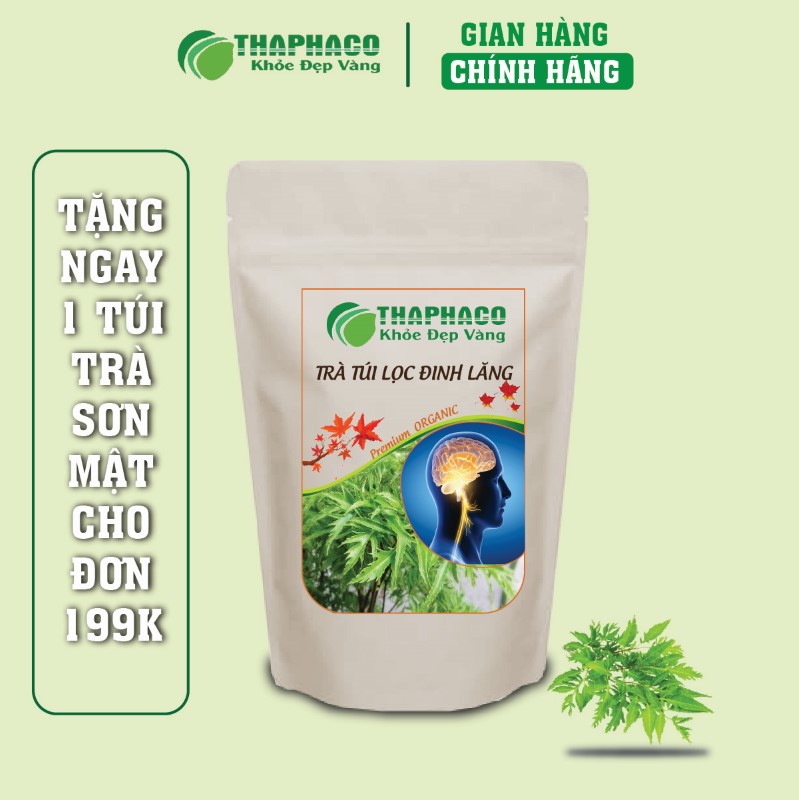 Nơi bán trà túi lọc lá đinh lăng ngon giá rẻ tại TP.HCM