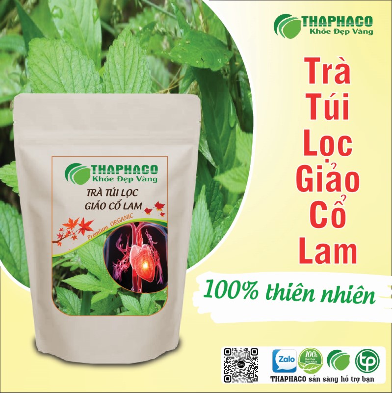 Trà túi lọc giảo cổ lam khô có tác dụng gì?