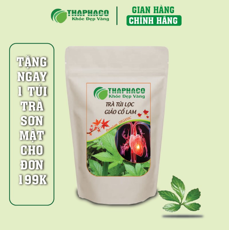 Nơi bán trà túi lọc giảo cổ lam khô ngon giá rẻ tại TP.HCM